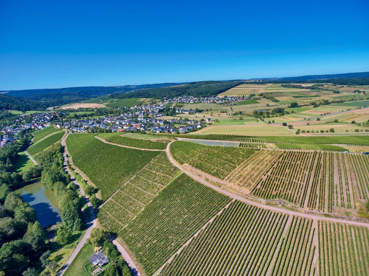 Ferienweingut Willems Oberemmel Εξωτερικό φωτογραφία