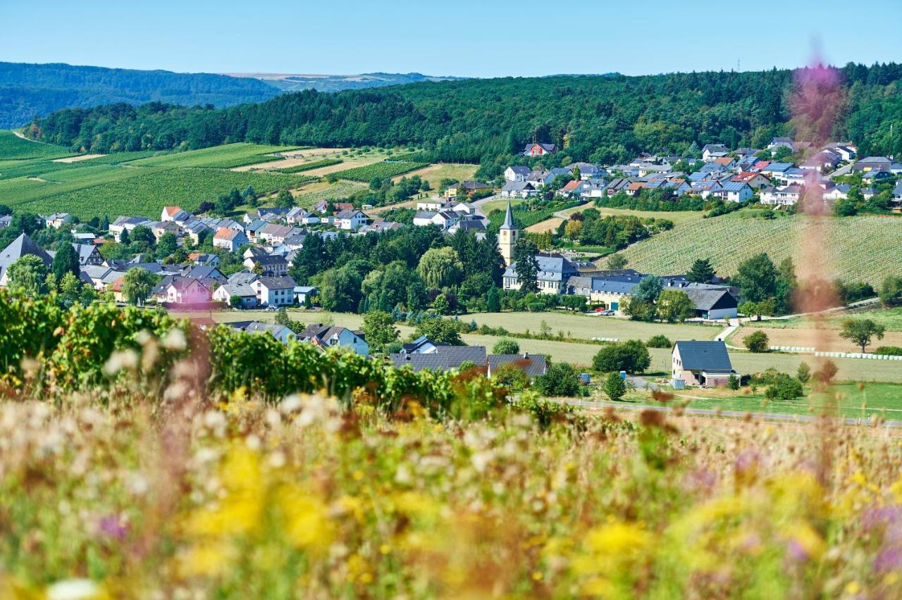Ferienweingut Willems Oberemmel Εξωτερικό φωτογραφία