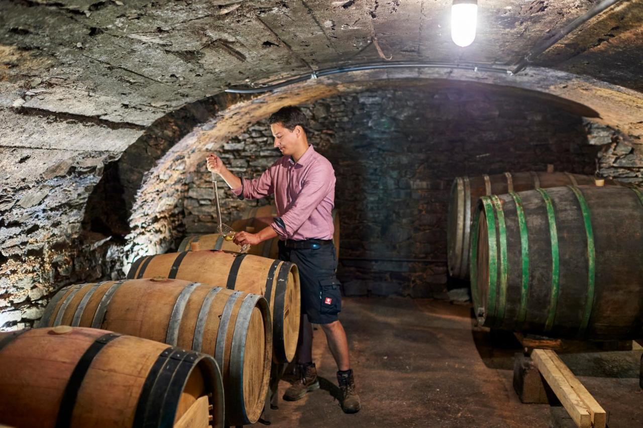 Ferienweingut Willems Oberemmel Εξωτερικό φωτογραφία